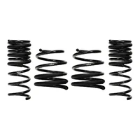 Pro-Kit Performance Springs (STi 2015+)