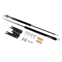 Hood Struts (FXT 03-08)