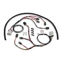 HP Smart Coil Ignition Harness For use with Holley® HP and Dominator ECUs and other EFI systems