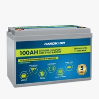 Power 100Ah Lifepo4 Deep Cycle Lithium Battery New