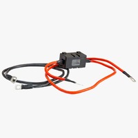 6mm2/ 5AWG Cables 2Ith 80A Anh Fuse for Use with 300W Inverter