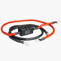 16mm2/ 5AWG Cables with 80A Anh Fuse for Use with 600W Inverter