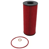 Oil Filter (X1 09-15)