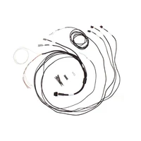 Semi Terminated Stand-Alone Harness For iC-7 Display Dash