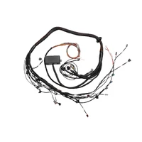 Elite 2000/2500 Toyota 2JZ Terminated Engine Harness