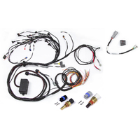 Elite 2000/2500 Terminated Harness With CAS Harness (Nissan RB Twin Cam)