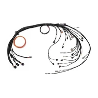 Nexus R3 Terminated Harness (BA/BF/FG Barra)