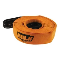 Premium Snatch Strap 8T 9,000kg, 65mm x 8m