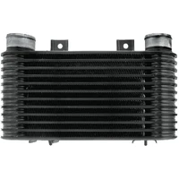 Intercooler (Bravo 2.5L Courier PE PG PH 96-06)