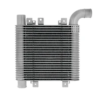 Intercooler (Santa Fe CM D4EB 06-09)