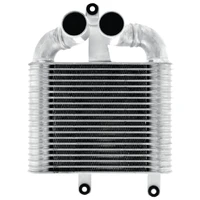 Intercooler (Rodeo RA 03-08/TD Isuzu)