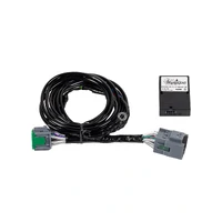 Driving Light Patch Loom - Canbus (F-150 21-24)