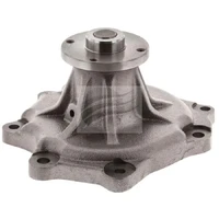 Water Pump (Patrol GQ TD42)
