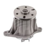 Water Pump (Territory SZ/Discovery 3 & 4)