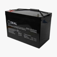 Zeal 12V AGM Deep Cycle Battery