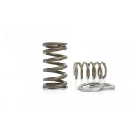 Valve Spring Set (2JZ-GTE)