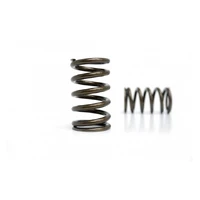 High Performance Valve Spring Set (EJ20/25)