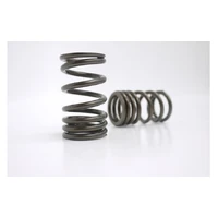 Single Valve Spring Set (A12-A15)