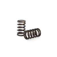 Valve Spring Set (RB26DETT)