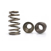 Premium Quality Beehive Valve Spring Set (LS Series V8)