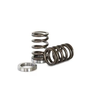 Valve Spring Set (CA18DET)