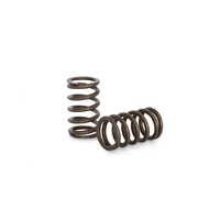 Valve Spring Set (RB20DE-DET)