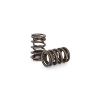 Dual Valve Spring Set (SR20/GTiR)