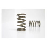 Valve Spring Set (KA24DE/DET)