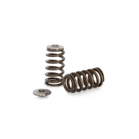 Valve Spring and Titanium Retainer Kit (RB25 Neo)