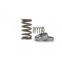 Valve Spring Set (VQ35DE-T)