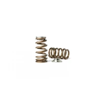 Beehive Valve Spring and Titanium Retainer Kit (VR38DETT)