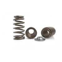 Valve Spring and Retainer Set (Falcon BA-BF 02-15)