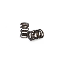 Dual Valve Spring Set 105E-116E