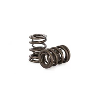 Dual Valve Spring Set (L20-L28 6cyl)