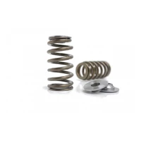 Valve Spring and Titanium Retainer Set (VK56DE-(T))