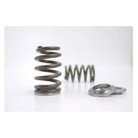 High Performance Beehive Valve Spring and Locator Kit (Evo 1-9)