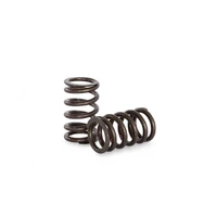 High Performance Valve Spring Set (SR20-DET NVCS S13/S14/15)