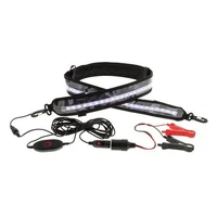 Flexible Led Strip Light