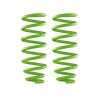 Rear Performance Coil Springs (G-Wagon 79+)
