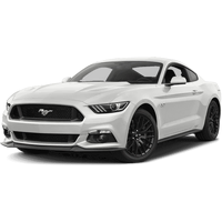 Dual 3in Cat Back Aluminised Steel - Medium (Mustang FM 15+)