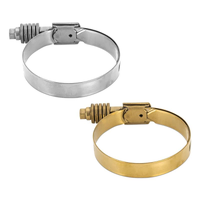 Constant Tension Worm Gear Clamp