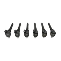 Ignition Coil - Ford EcoBoost - 3.5L V6 - Black - 6-Pack 2017-2020 Ford F150 - EcoBoost 3.5L V6