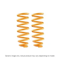 Rear Shock Absorbers/Coil Springs - Constant Load/Performance (Patrol GQ Y60)