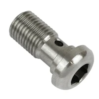 Stainless Steel Allen Head Bolt