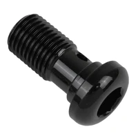 Black Allen Head Bolt
