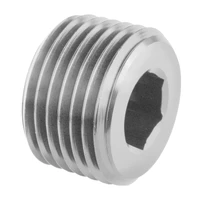 Fitting Socket Plug 1/8in NPT Stainless