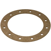 Fuel Cell Tank Cap Gasket 12 bolt 120.5mm PCD