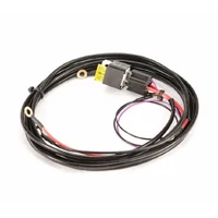 Anti-Surge Single Pump Fuel System Wiring Harness (BA-BF/FG XR6 Turbo)