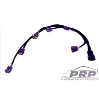 Nissan RB Coil Loom 'All Variants'