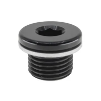 Hex O-Ring Plug
